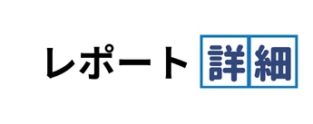 レポート詳細